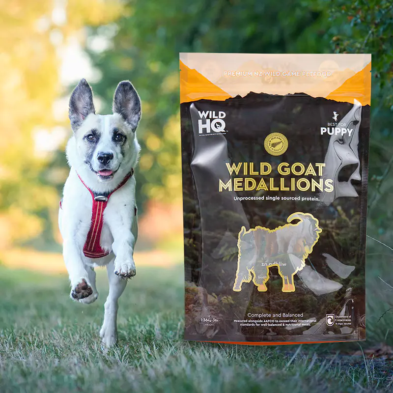 Sac à café à pochette basse et à impression numérique écologique et coloré